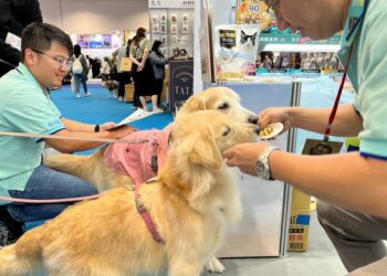 統一寵食益生菌機能糧讓毛孩愛不釋口，高雄寵物展新品搶先亮相！