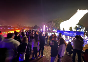 中台灣燈會破500萬人朝聖！獨具教育性的「永續海洋奇幻冒險」任務完成！邀您持續傳遞永續理念-相約2026！