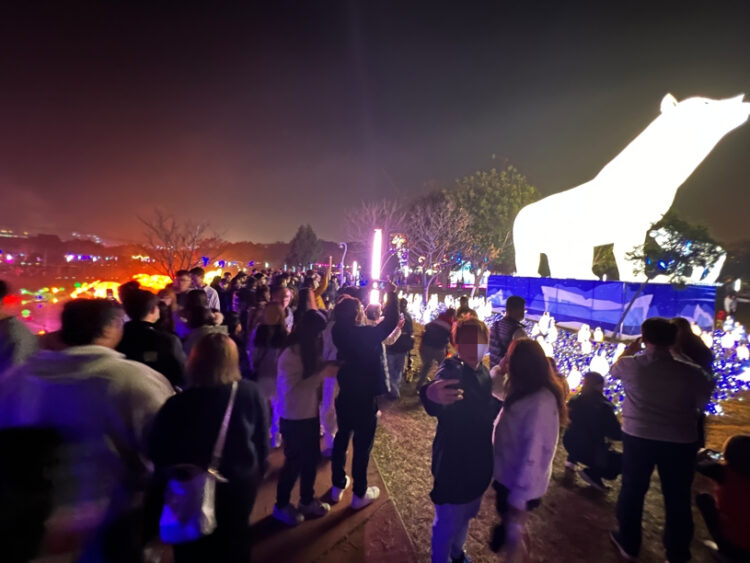 中台灣燈會破500萬人朝聖!獨具教育性的「永續海洋奇幻冒險」任務完成!邀您持續傳遞永續理念 相約2026! 中台灣燈會破500萬人朝聖!獨具教育性的「永續海洋奇幻冒險」任務完成!邀您持續傳遞永續理念-相約2026!