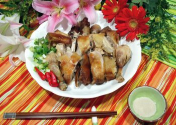 月世界一日遊推薦 高雄田寮好吃土雞料理 團體旅遊熱門指定餐廳