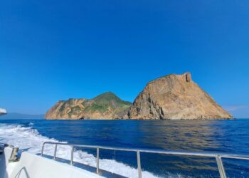 龜山島賞鯨新選擇 宜蘭頭城山悅海民宿 解鎖山海共生旅程