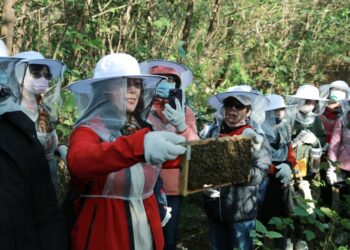 金門農村旅遊超夯！5條主題特色農遊路線邀您免費體驗