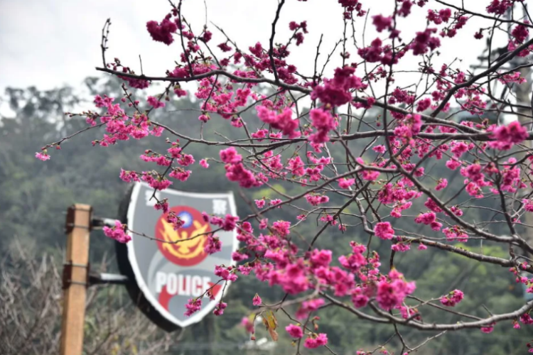 臺中「最美派出所」所長勤務中飲酒 違反警紀遭記過拔官 臺中「最美派出所」所長勤務中飲酒-違反警紀遭記過拔官