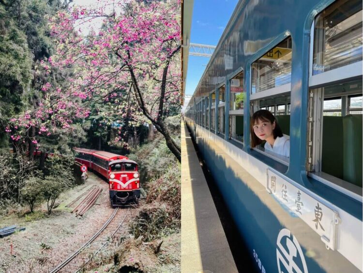 台灣景點｜跟著特色觀光列車一起遊台灣，鳴日號、海風號搭乘資訊一次告訴你！