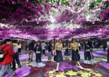 臺南旅遊新體驗─臺灣國際蘭展x山區小旅行