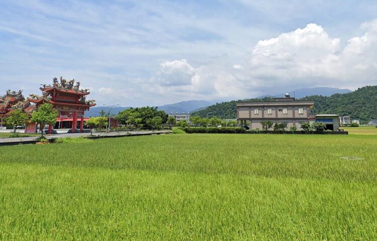 繼承農地想轉售要注意!沒達到「這條件」小心追繳遺產稅 繼承農地想轉售要注意!沒達到「這條件」小心追繳遺產稅