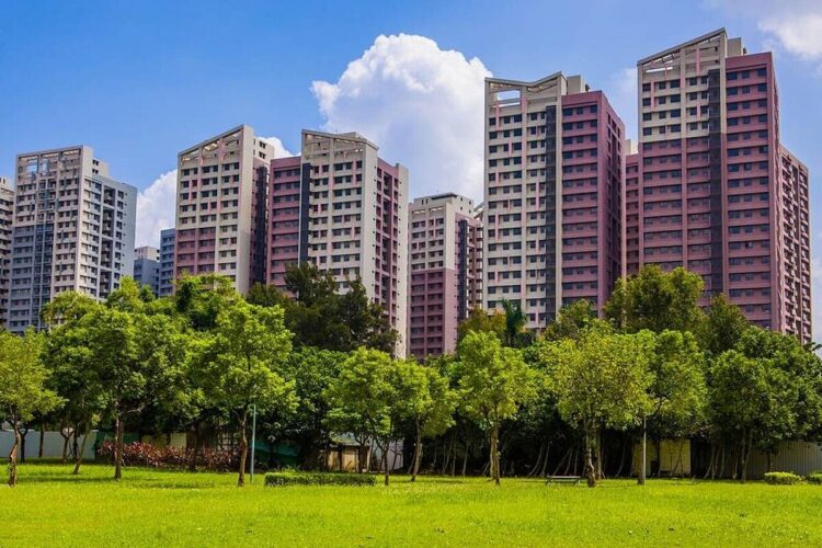 日勝生強化股東回饋 穩健布局建設、樂齡與循環經濟市場 日勝生強化股東回饋-穩健布局建設、樂齡與循環經濟市場