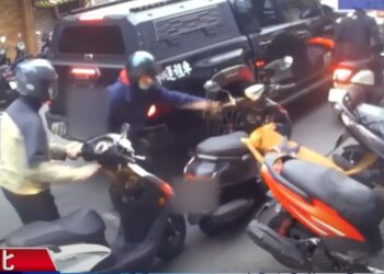 比特犬跳窗傷人-北市動保依動物保護法連續開罰並沒入犬隻