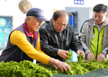 澎湖野生海菜魅力無限！陳光復力挺業者拓展全球市場