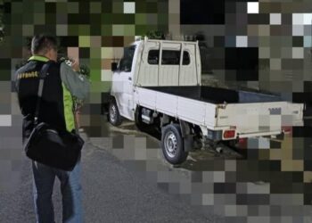 台南驚傳虐狗-動保處找上門飼主稱不見了-南市府：絕對查辦到底