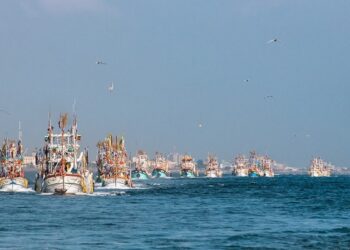 高雄林園鳳芸宮媽祖海巡4/11駐駕高雄港