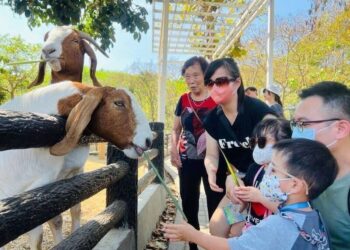 南部地區4/3-4/6兒童連節假遊樂指南