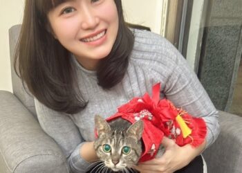 許采蓁：勞工每年工時2020小時！勞動部稱「沒那麼不堪」！？