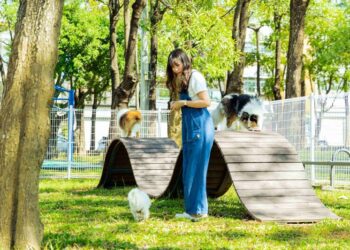 燕巢寵物區啟用-毛孩專屬天地可盡情遊玩