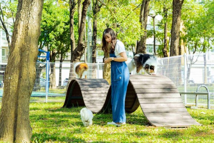 燕巢寵物區啟用 毛孩專屬天地可盡情遊玩 燕巢寵物區啟用-毛孩專屬天地可盡情遊玩