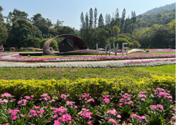 臺北玫瑰展同場加映-賞玫士林官邸也有！