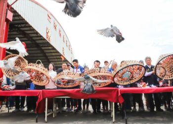 振翅高飛！義竹「賽鴿笭」文化季熱鬧登場