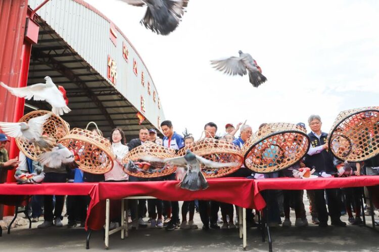 振翅高飛!義竹「賽鴿笭」文化季熱鬧登場 振翅高飛!義竹「賽鴿笭」文化季熱鬧登場