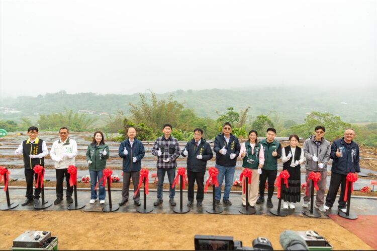 改寫台灣茶葉史 茶之魔手打造台南茶葉產區