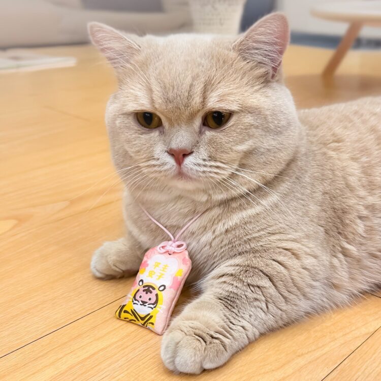 南港寵物展亮點搶先看 基因篩檢、清潔神器、萌系穿搭一次滿足 南港寵物展亮點搶先看 基因篩檢、清潔神器、萌系穿搭一次滿足