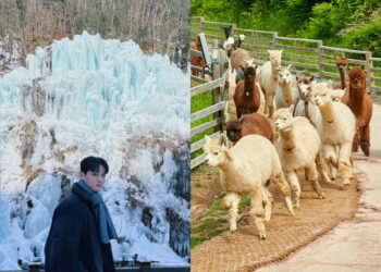 韓國一日遊行程推薦｜韓國自由行熱門景點，必看兩大表演一次收錄