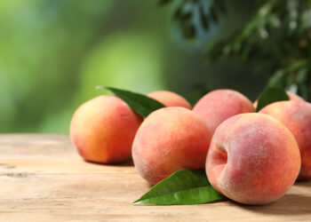 水蜜桃如何挑選與保存？看完這一篇晉升為水蜜桃達人