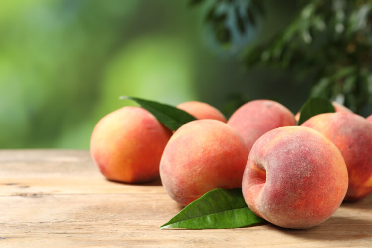 水蜜桃如何挑選與保存？看完這一篇晉升為水蜜桃達人