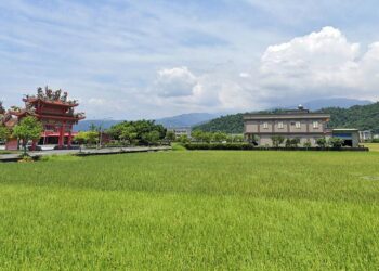 贈兒農地忘了「這件事」-竟被追繳325萬