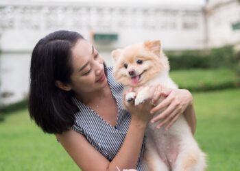妳的貓好胖！飼主在路上聽到哪些話會內心糾結?
