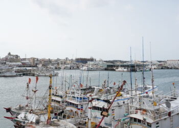 澎湖區漁會舉行第18屆首次代表大會-陳光復到場致詞盼強化漁業永續