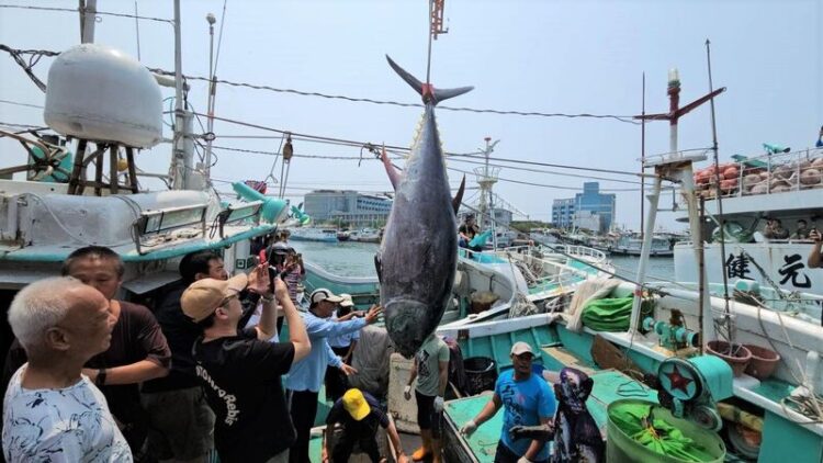 2025屏東第一鮪報到!-「茂豐祥號」返港驗明正身-11日舉辦拍賣會