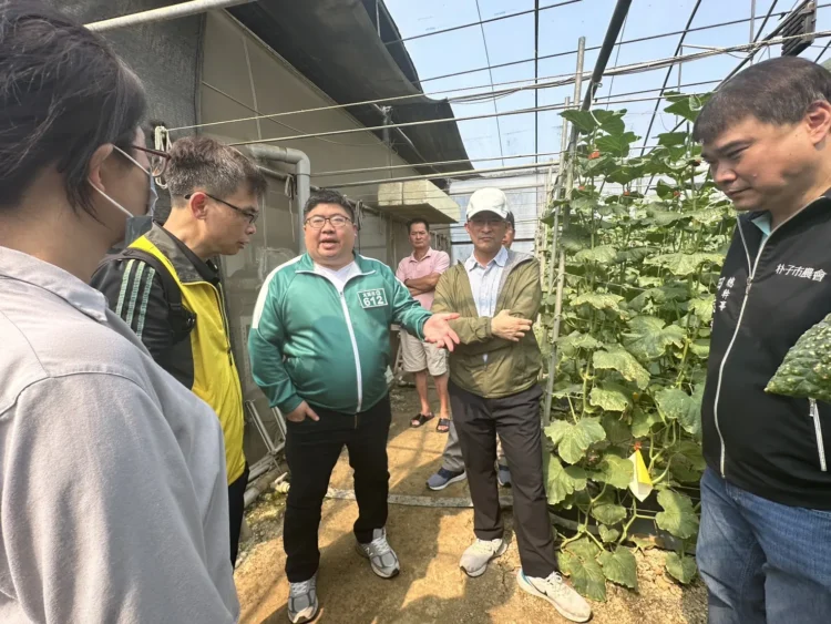 嘉義極光卡蜜拉災損近9成 蔡易餘勘災設法解困 嘉義極光卡蜜拉災損近9成-蔡易餘勘災設法解困