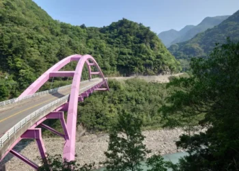 巴陵大橋橫空高掛-生態古道賞花觀蝶