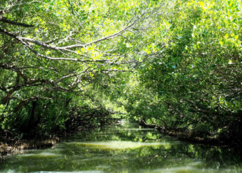 台南旅遊網q1熱搜榜揭密：-高雄與台北市民最愛台南