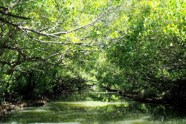 台南旅遊網q1熱搜榜揭密：-高雄與台北市民最愛台南