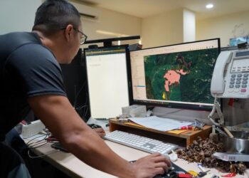 力拚本土碳匯示範場域-屏東打造森林碳權品牌