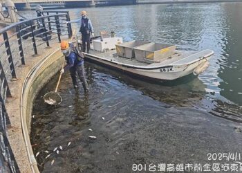 愛河驚現850公斤魚屍！環保局急撈-專家分析「三大可能死因」