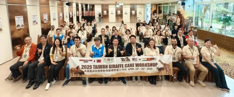 六福村攜手TAZA 國際長頸鹿與有蹄類動物醫療照護工作坊盛大登場 六福村攜手taza-國際長頸鹿與有蹄類動物醫療照護工作坊盛大登場