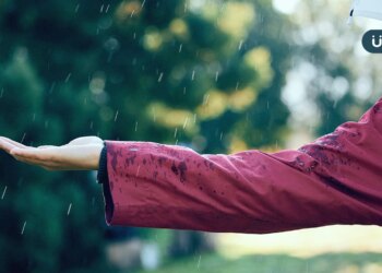 有食譜》穀雨濕氣來襲，小心腸胃受傷！中醫推喝「4味中藥」排濕茶飲