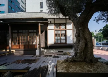 安放記憶與情感的所在-渡邊文矢個展於-ippuku-林森40開展