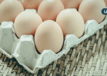 雞蛋過期還可以吃嗎？雞蛋放冰箱可以放多久？雞蛋保存「5大秘訣」