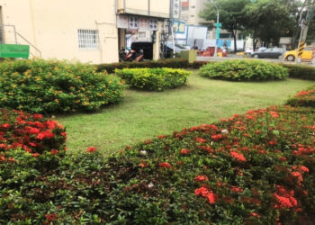 45處城市空間煥新-綠意重塑都市活力