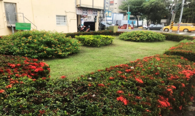 45處城市空間煥新-綠意重塑都市活力