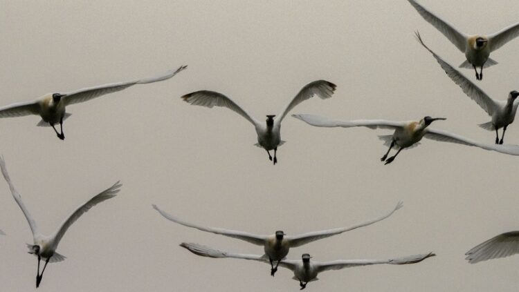 【陳宜民觀點 】 期待新的模式:關於永續,我們可以做些什麼? 【陳宜民觀點-】-期待新的模式:關於永續,我們可以做些什麼?