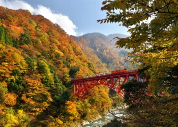 一票爽玩台日雙鐵！阿里山林鐵x黑部峽谷限時互惠開跑