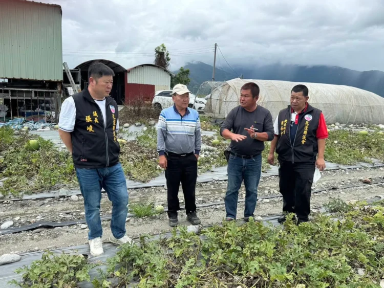 極端氣候導致中區瓜農損失慘重 200公頃西瓜田盡皆裂果不忍卒睹 張峻議長走進西瓜田為瓜農請命
