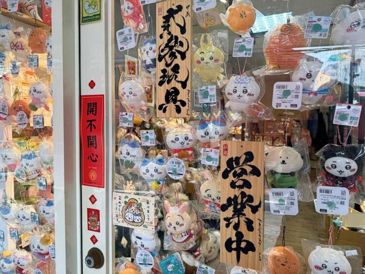 潮玩IP強勢來襲 彰化玩具專賣店網羅吉伊卡哇與設計師原創IP公仔娃娃