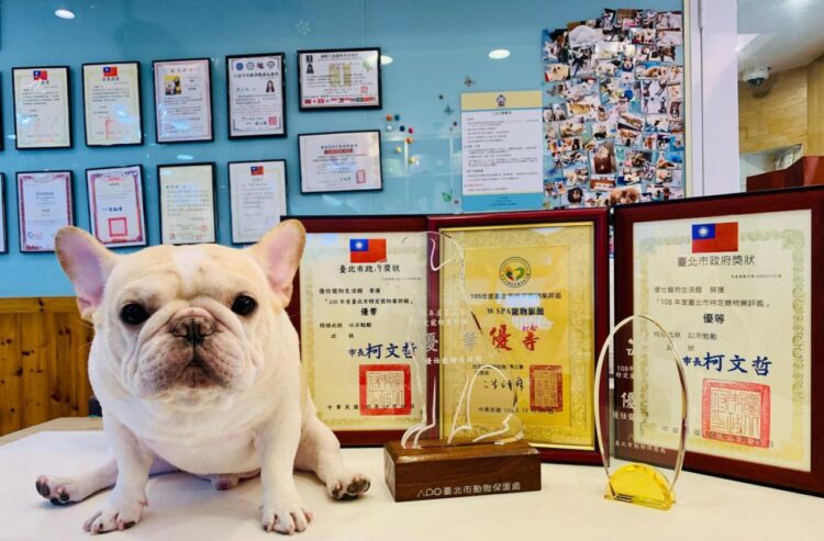 台北大安區寵物旅館推薦 不關籠住宿與低敏寵物美容 打造毛孩五星級享受