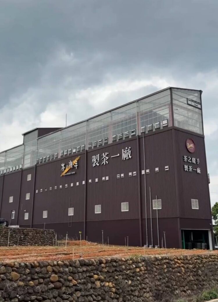 媽祖繞境首進茶葉產地名間鄉 茶之魔手五星茶廠引熱議 媽祖繞境首進茶葉產地名間鄉 茶之魔手五星茶廠引熱議