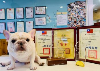 大安區寵物旅館 打造毛孩五星級享受